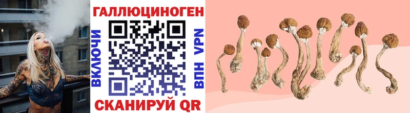 Галлюциногенные грибы GOLDEN TEACHER  OMG как войти  Нахабино 